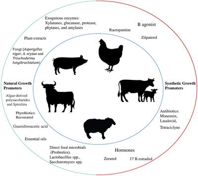 Editorial: The use of growth promoters and their alternatives in livestock production